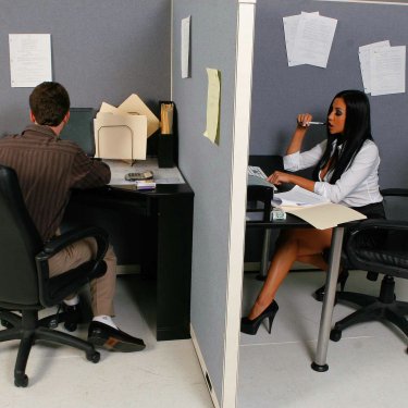 Office workers, Audrey Bitoni and James Dean sit in their cubicles